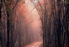 WELLBET官网：西媒：国米和尤文正在关注拉齐奥中卫吉拉，皇马有50%转会费分成.