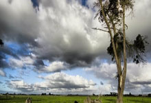 亚马尔欧国联罚丢点球后，其现场观战的父亲淡定微笑.