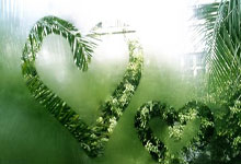 WELLBET官网：美加墨世界杯预选赛国足迎战韩国队时间确定央视网体育.