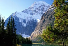 WELLBET官网：[NBA]小波特妙传篮下 戈登空切吃饼暴扣.