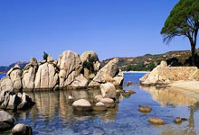 [中超]攻势如潮 上海海港再迎大胜.